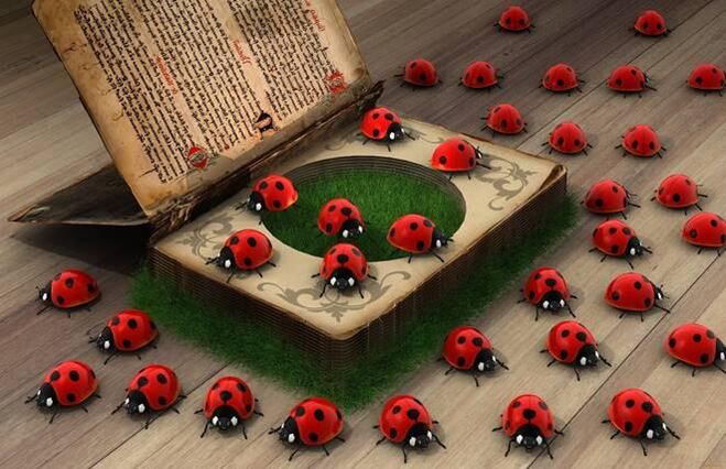 Ladybug - աստվածային օգնության, պաշտպանության խորհրդանիշ
