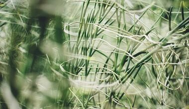 Ինչպես պատրաստել հաջողակ ամուլետ ձեր սեփական ձեռքերով